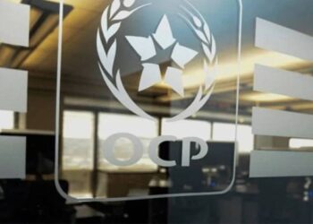 OCP s’engage dans le sport avec la création d’OCP Sport Development