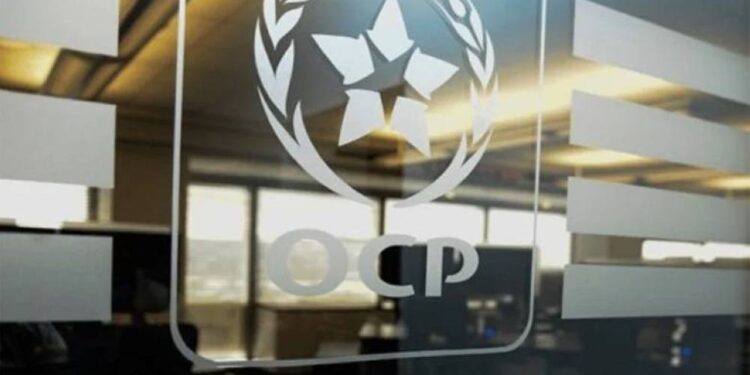 OCP s’engage dans le sport avec la création d’OCP Sport Development