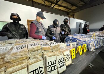 Coup de filet à Tanger Med : Saisie record de cocaïne