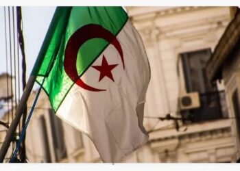 Amnesty International lance une pétition pour les droits humains en Algérie