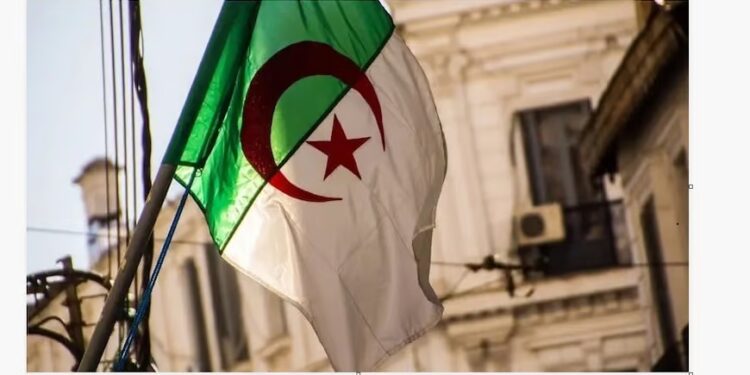 Amnesty International lance une pétition pour les droits humains en Algérie