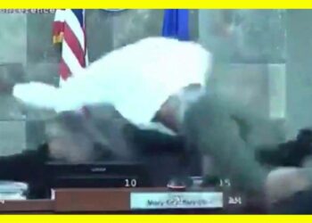 Video: Juge attaquée en pleine audience par un accusé