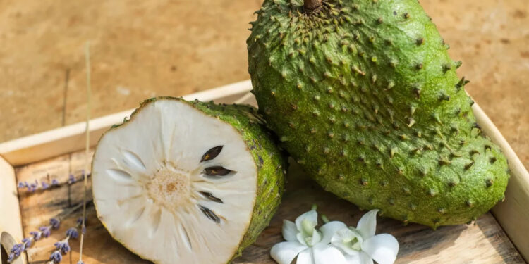 Le Corossol : Une puissance anti-cancer 10.000 fois plus forte