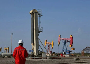 Predator Oil & Gas dévoile des avancées prometteuses dans le secteur pétrolier et gazier au Maroc