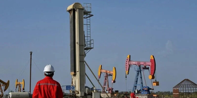 Predator Oil & Gas dévoile des avancées prometteuses dans le secteur pétrolier et gazier au Maroc