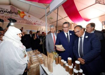 Le Festival de l’Amandier de Tafraoute : Un moteur de développement pour la filière de l’amandier au Maroc