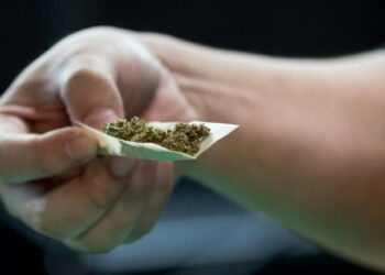 50 g par mois : Nouvelle ère pour le cannabis en Allemagne