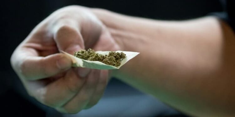 50 g par mois : Nouvelle ère pour le cannabis en Allemagne