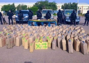 Coup de filet contre le trafic de drogue : Saisie de 3 tonnes de chira près de Berrechid