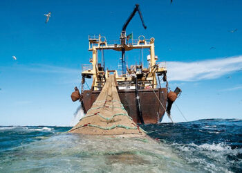 L’avenir de l’accord de pêche Maroc-UE : La Commission européenne réagit aux prévisions de retard