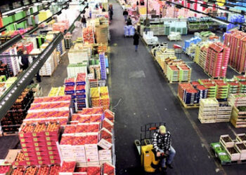 Les exportations marocaines résistent aux perturbations de la crise agricole en France