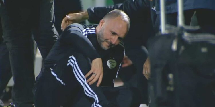 La Fédération algérienne parvient à un accord pour signer avec le successeur de Belmadi