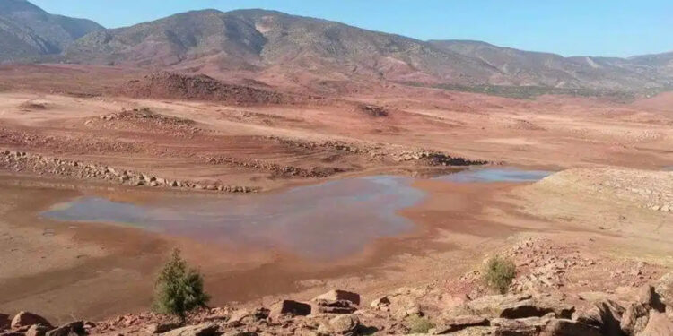 Images satellites alarmantes : Le Maroc lutte contre une sécheresse sévère