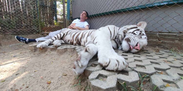 Nouamane Lahlou, le chanteur qui endort les tigres avec sa voix