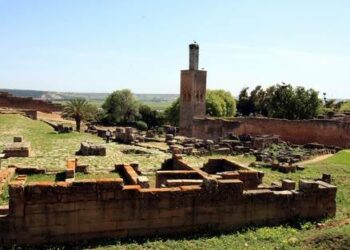 Réhabilitation de Chellah: Le Ministère de la Culture supprime le site des monuments historiques