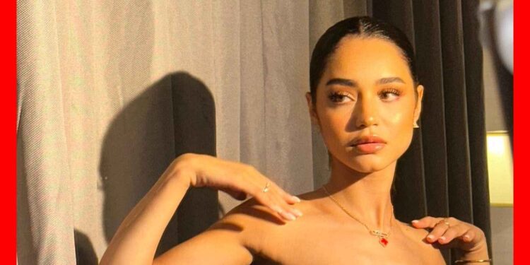 Arrestation d’un suspect dans le meurtre du mari de Rym Fikri