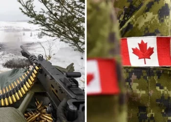 Après un vote des députés, le Canada n’enverra plus d`armes à Israël