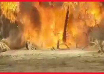 Video: Un incendie ravage l’oasis d’Ouled Chaker à Errachidia