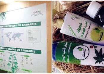 Le marché des produits dérivés du Cannabis attire l’attention des visiteurs du SIAM