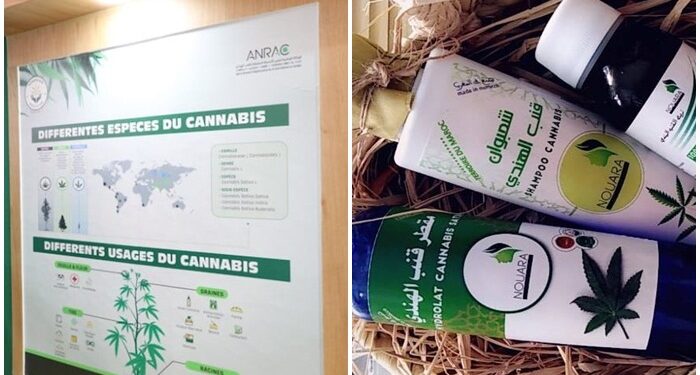 Le marché des produits dérivés du Cannabis attire l’attention des visiteurs du SIAM