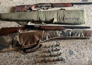 Crime organisé : Arrestation de seize suspects dans un vaste réseau criminel