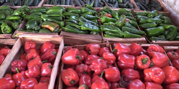 Fin de la surtaxe des légumes en Mauritanie : Retour à la normale très attendu