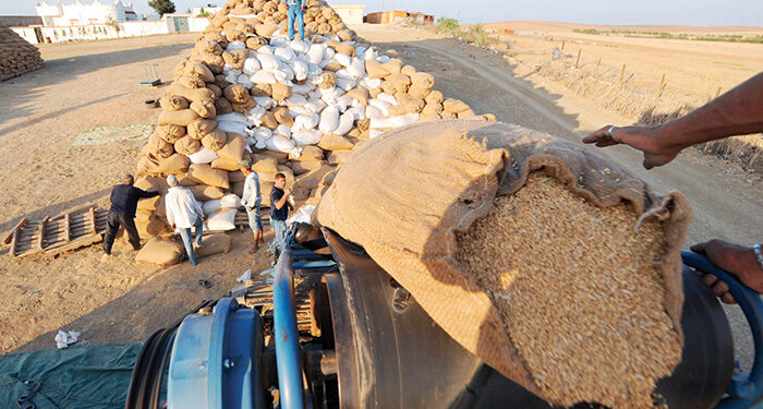 Importations de blé : La Russie s’affirme comme troisième fournisseur du Maroc