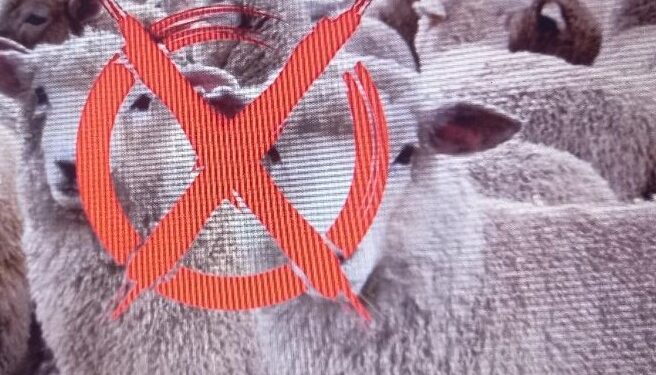 Alerte aux arnaques : vigilance accrue pour l&rsquo;achat des moutons de l&rsquo;Aïd sur les réseaux sociaux