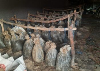 Quatre usines clandestines de distillation d’alcool démantelées à Oued Zem en une semaine