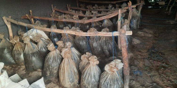 Quatre usines clandestines de distillation d&rsquo;alcool démantelées à Oued Zem en une semaine