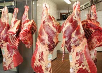 La flambée des prix des viandes rouges au Maroc : Une colère généralisée