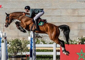 Le 13e Circuit Royal Marocain de Saut d’Obstacles: Un événement équestre de prestige