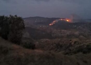 Incendie majeur dans la forêt de Taza: Une mobilisation massive pour maîtriser les flammes
