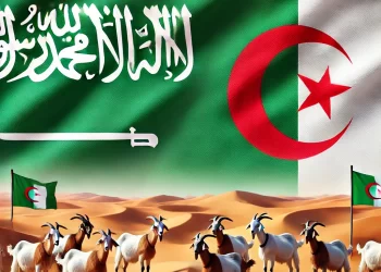 Hayat Al-Maaz’ : Une production Indienne qui fait débat entre l’Algérie et l’Arabie Saoudite