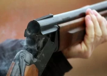 Il tue sa jeune soeur avec un fusil de chasse