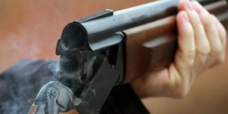 Il tue sa jeune soeur avec un fusil de chasse