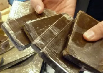 Trafic de stupéfiants à Bab Sebta : Un MRE arrêté avec 22 kg de cannabis