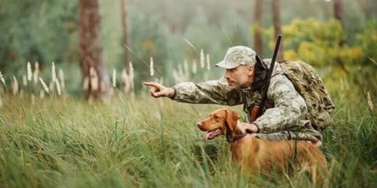 L’Agence Nationale des Eaux et Forêts lance le portail « MASYAD » dédié à la chasse.