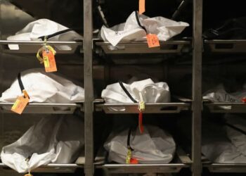 Lundi noir à Tiznit : Six morts dans divers accidents tragiques