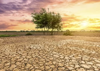 L&rsquo;Afrique du Nord en première ligne face au réchauffement climatique, selon l&rsquo;OMM