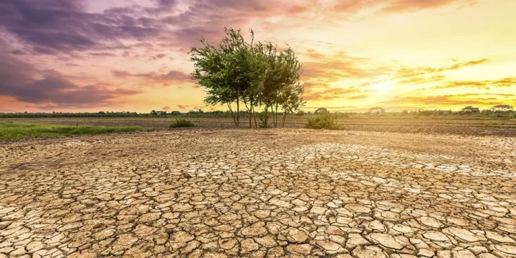 L’Afrique du Nord en première ligne face au réchauffement climatique, selon l’OMM