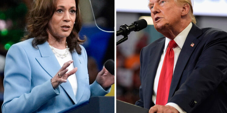 Micro fermé, tensions ouvertes : Kamala Harris et Donald Trump prêts pour un débat sans concessions