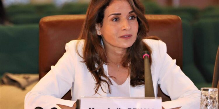 Avec des gaffes de la Ministre Leila Benali, le gouvernement est bien servi