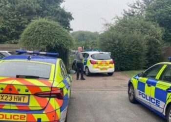 Cinq enfants arrêtés pour le meurtre d’un homme de 80 ans au Royaume-Uni