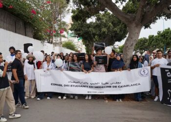 Sit-in à Casablanca : les étudiants en médecine et pharmacie craignent une année blanche