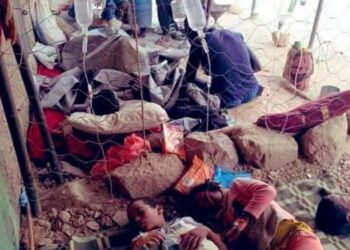 Catastrophe humanitaire en Algérie : plus de 100 morts dans l’indifférence gouvernementale