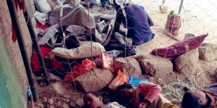 Catastrophe humanitaire en Algérie : plus de 100 morts dans l’indifférence gouvernementale