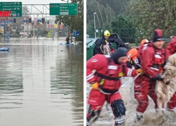 Inondations dévastatrices en Europe centrale.. Un bilan humain et matériel alarmant