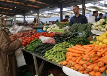 Tendance 2024 : Les légumes baissent les prix, mais les viandes s’envolent