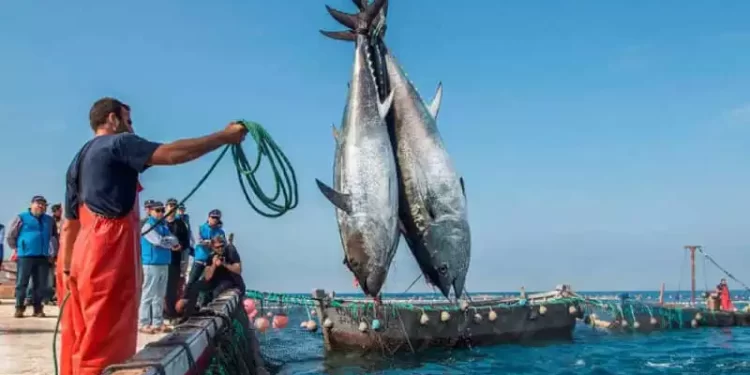 Le Maroc signe un accord de pêche avec la Russie, renforçant sa souveraineté sur le Sahara